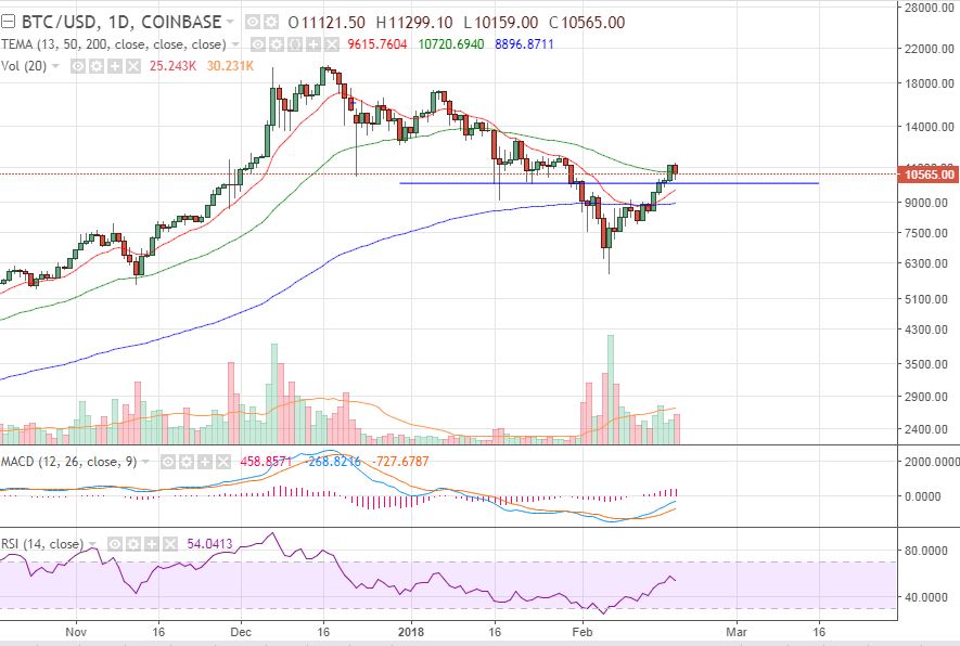 CryptoTAnalysis's tweet image. After a tremendous run, $BTC is pulling back, most likely due to profit taking. Support at $10,000. MACD still signalling a bullish trend, no need to panic. #cryptocurrency #crypto #altcoin #altcoins #bitcoin #Ethereum $ETH $LTC #cryptotrading #BitcoinCash #hodl