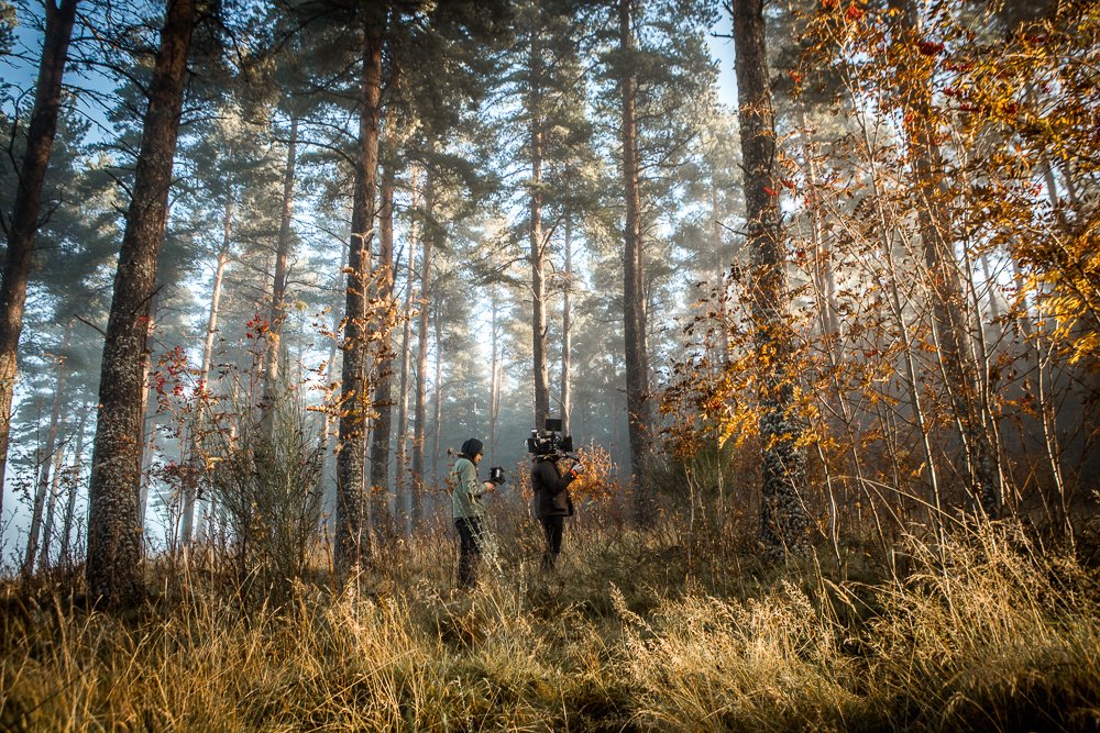 _LastRespects's tweet image. Glorious morning on Speyside in Scotland. We were blest with incredible sunshine for 5 days...in November! Great first day back in 2016 #LastRespects #shortfilm #britishfilm #Scotland #speyside #Bloodrunsthickerthanwhisky #whiskycountry