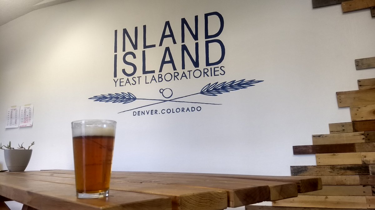 Long weekend means you can fit in a few more brews. What's in everyone's glass right now? And always remember quality control is an important part of brewing.