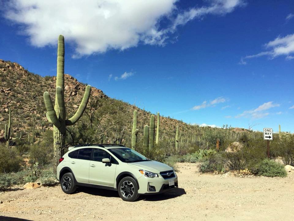 If you need a little break from all this winter, here's ONE WAY to take your mind off the ice and snow. (via Michael Gallant and his #Subaru #Crosstrek in Saguaro National Park)
