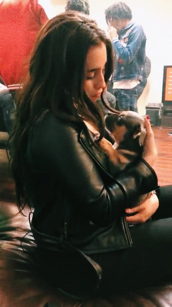 lauren jauregui with puppies is the cutest thing in this world