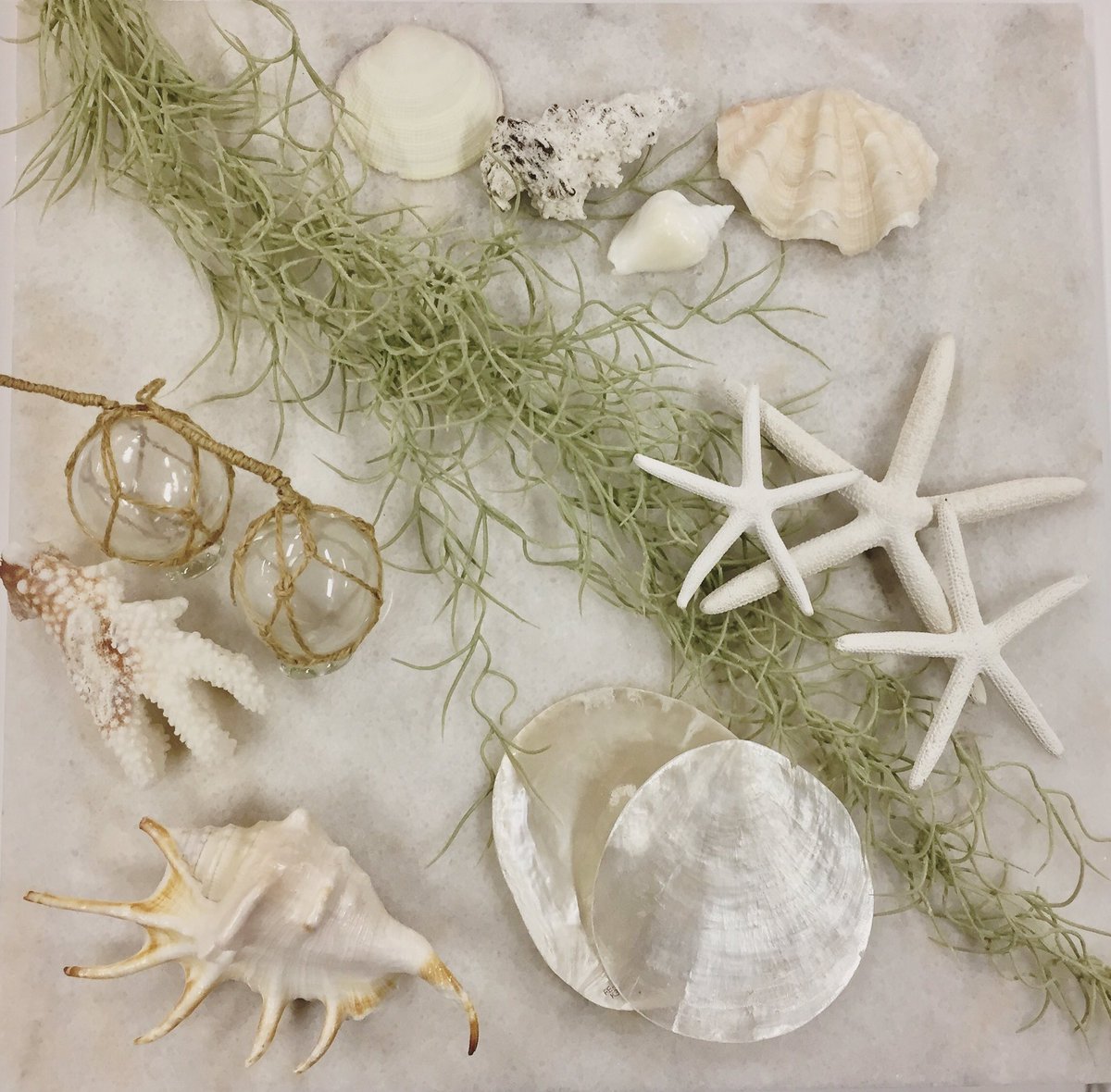 الوسم 夏インテリア雑貨 على تويتر