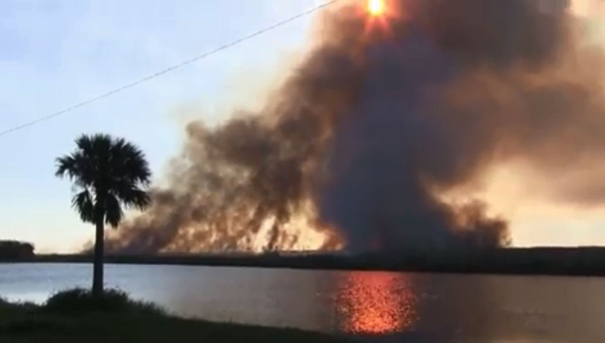 GWaldenWeather's tweet image. #PointSetFire today, Brevard County 520 near St. Johns River / #LoneCabbage. See video:
bit.ly/2BBEcFi
#WFTV #Florida