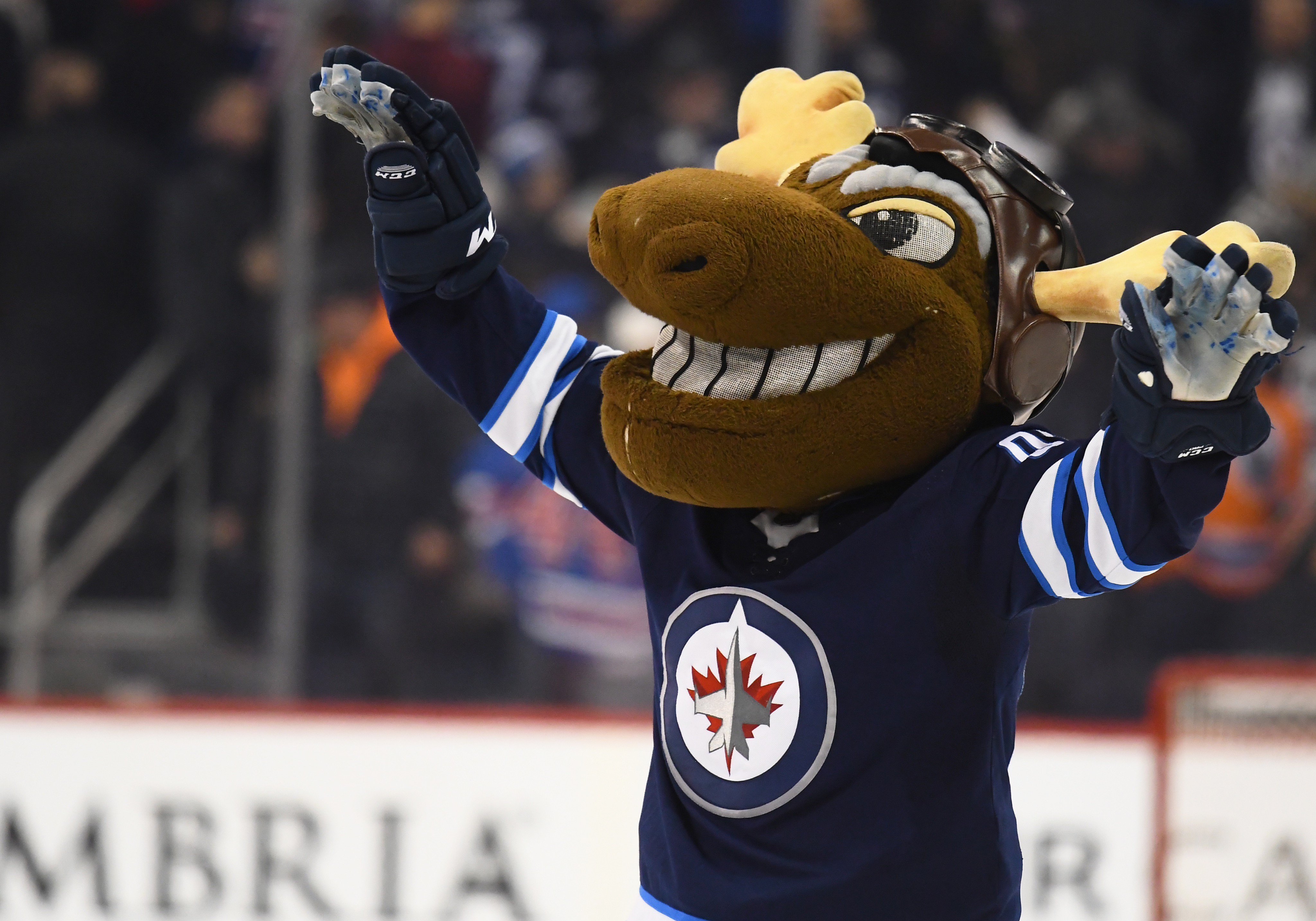 Mick E Moose A Sunday Night That Feels Like A Saturday Night Let S Go Jets Gojetsgo T Co Inemuss30w Twitter