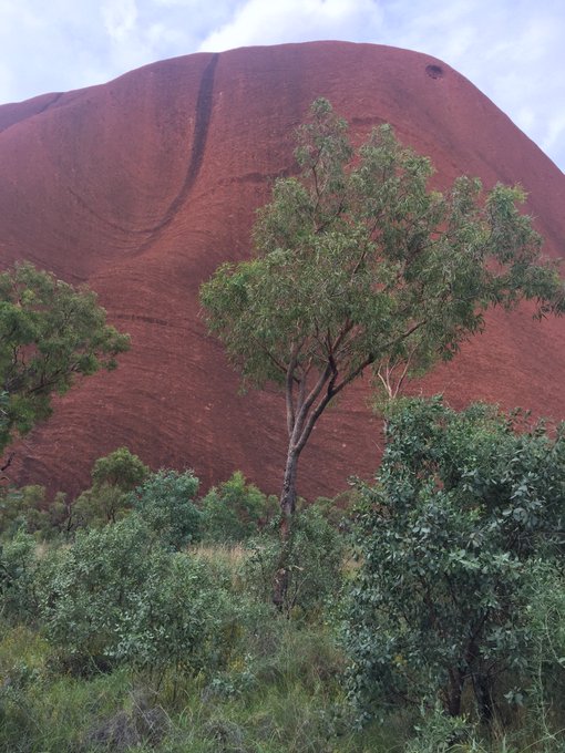 Uluru part one! https://t.co/i6bvsWVkE5<a href="/tag/trainselfie"class="tags"><span>#trainselfie</span></a>