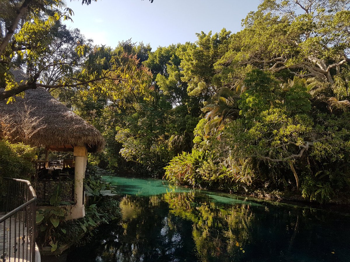 Ya extrañamos este hermoso paisaje :'( 🌴🌊 Disfrutamos muchísimo el #BahidoráxCorona ♡