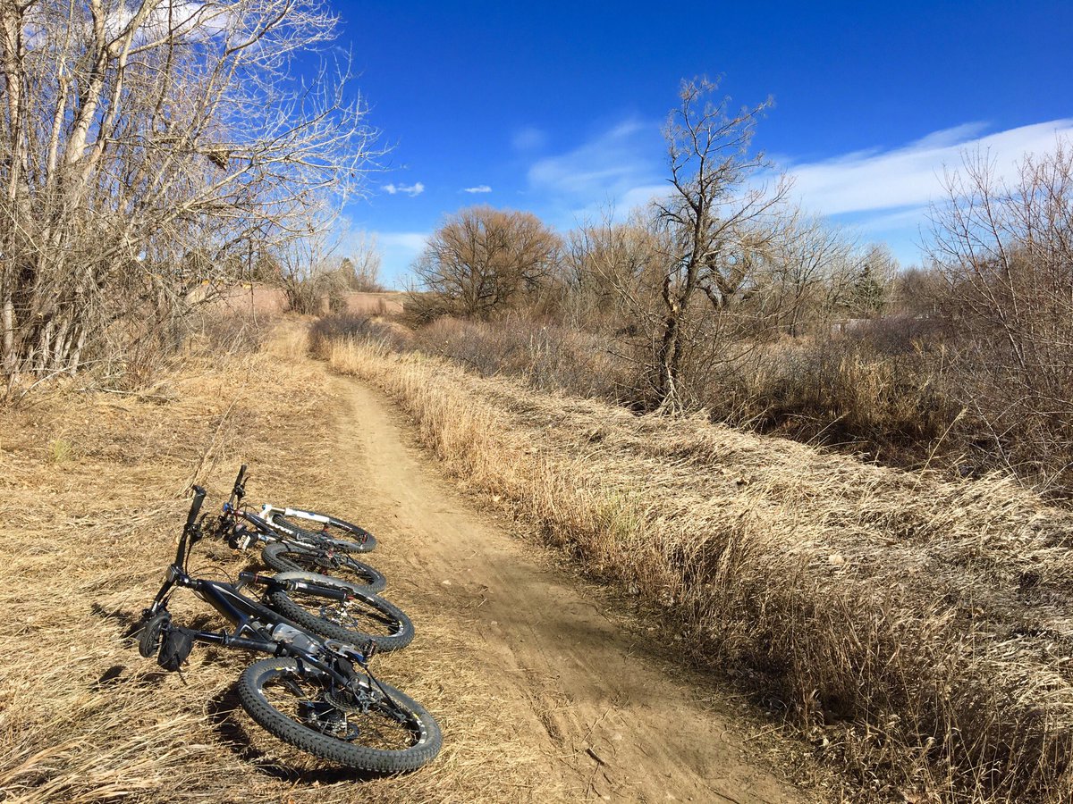 MarkGonglach's tweet photo. Embracing the wind on a warm February ride before the snow and cold returns #calmbeforethestorm #Boulder #mtb #ride #Colorado https://t.co/0n7gLLe660