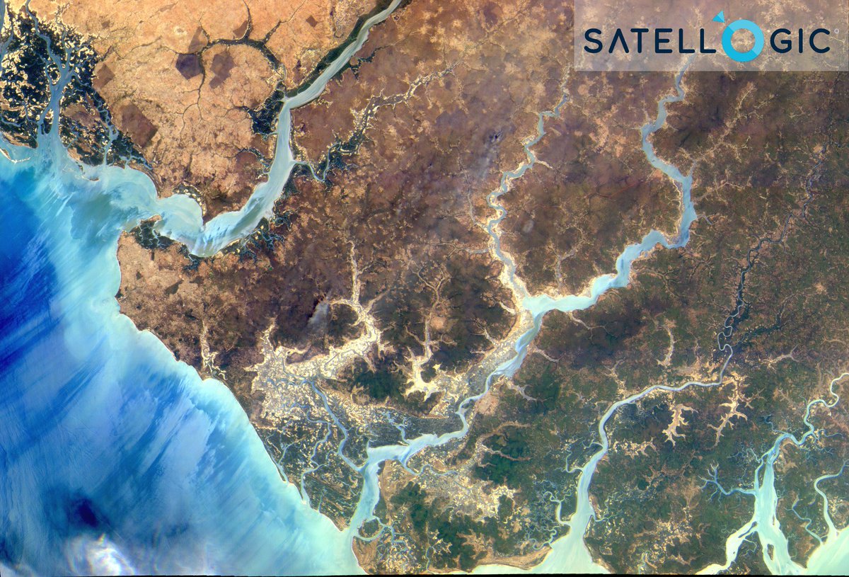 The Gambia! From <a href="/Satellogic/">Satellogic</a>'s Milanesat's Hyperspectral camera. Rotated 42°, downsampled 4 times, rendered as RGB. 10 SatePoints to whoever can match the rivers to a part of Mandelbrot or Julia. Isn't the water amazing? 13°33'17.6"N,16°38'00.2"W