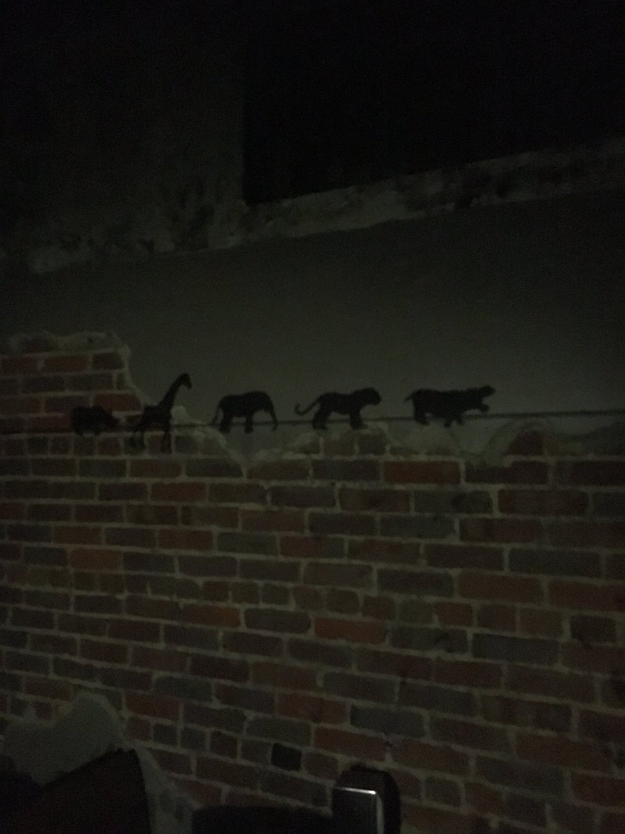 Shadow puppets
