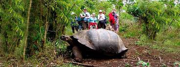Saludo a las islas encantadas en su aniversario 45 de provincialización. Su flora y fauna son símbolo de este Archipiélago. ¡Viva Galápagos!