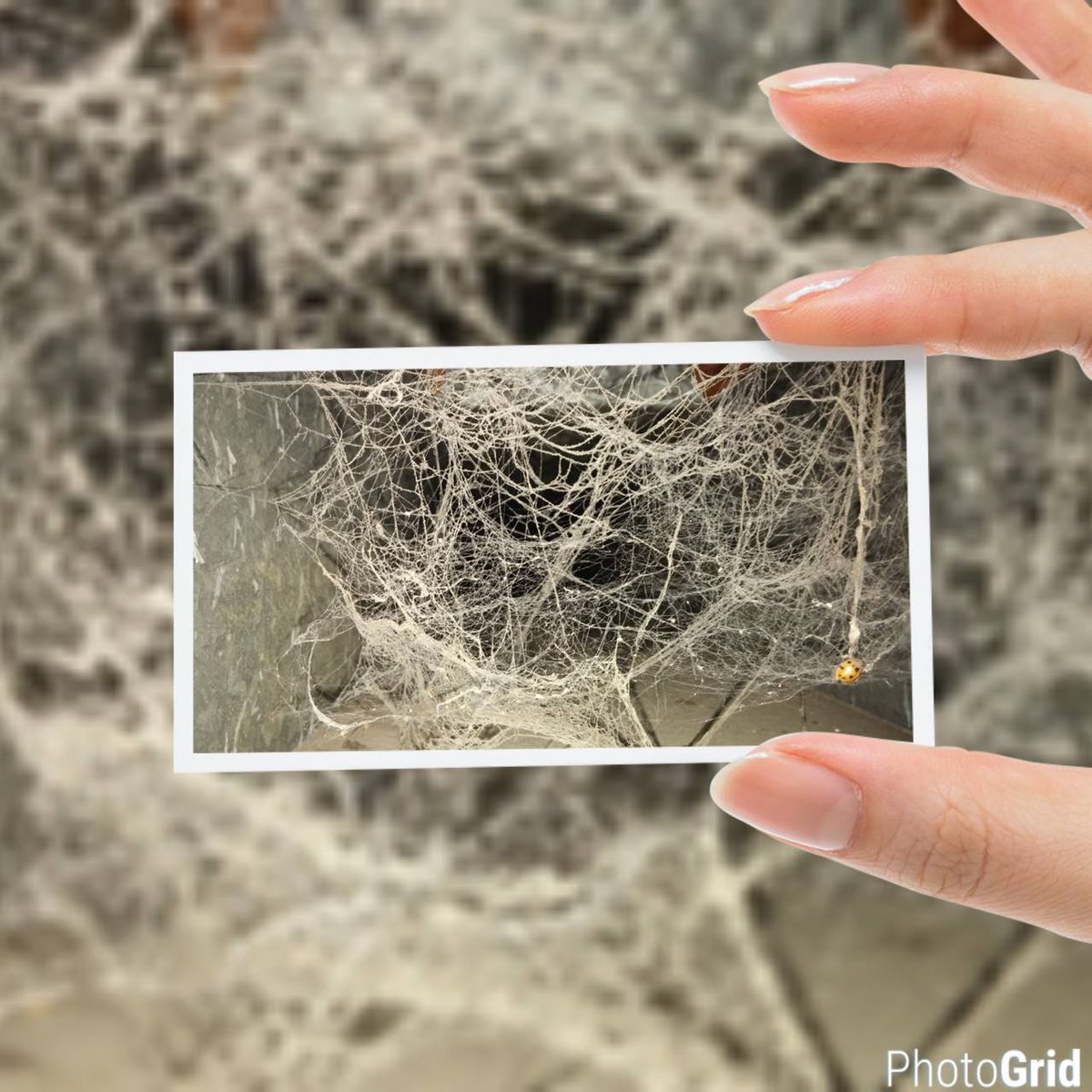 Guaranteedcleanyeg On Twitter Why Wait For Your Air Ducts To