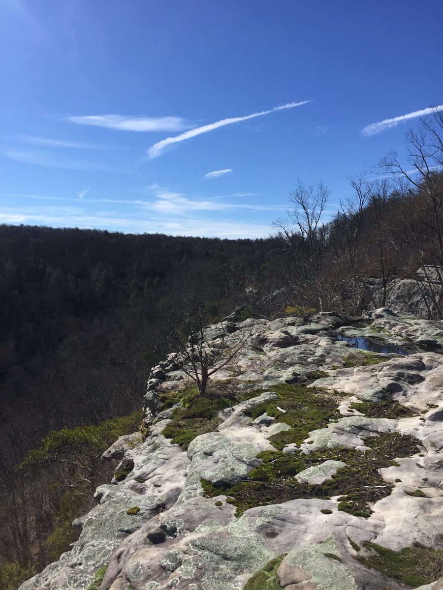 NCCConservancy's tweet image. 