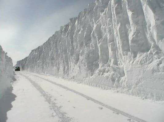 Breaking news Canada announces there wall is done