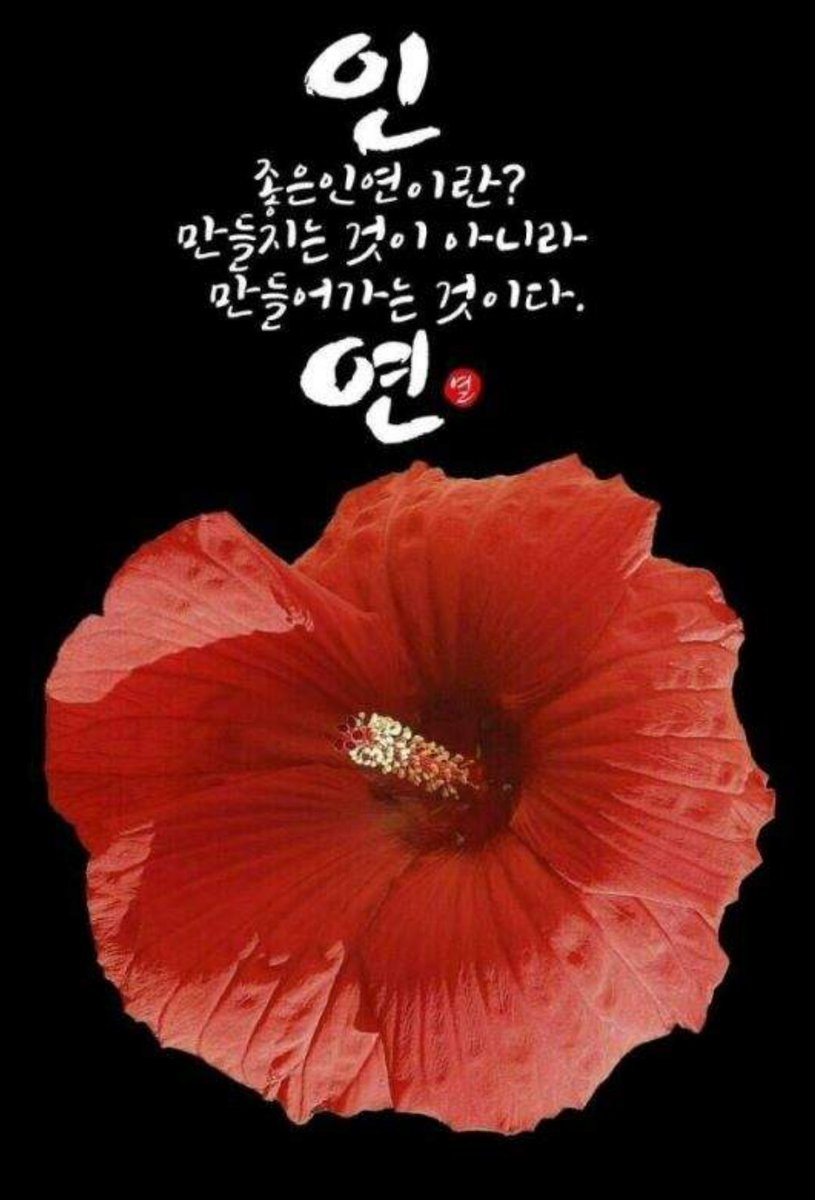 자인스님 (@darani93361) on Twitter photo 