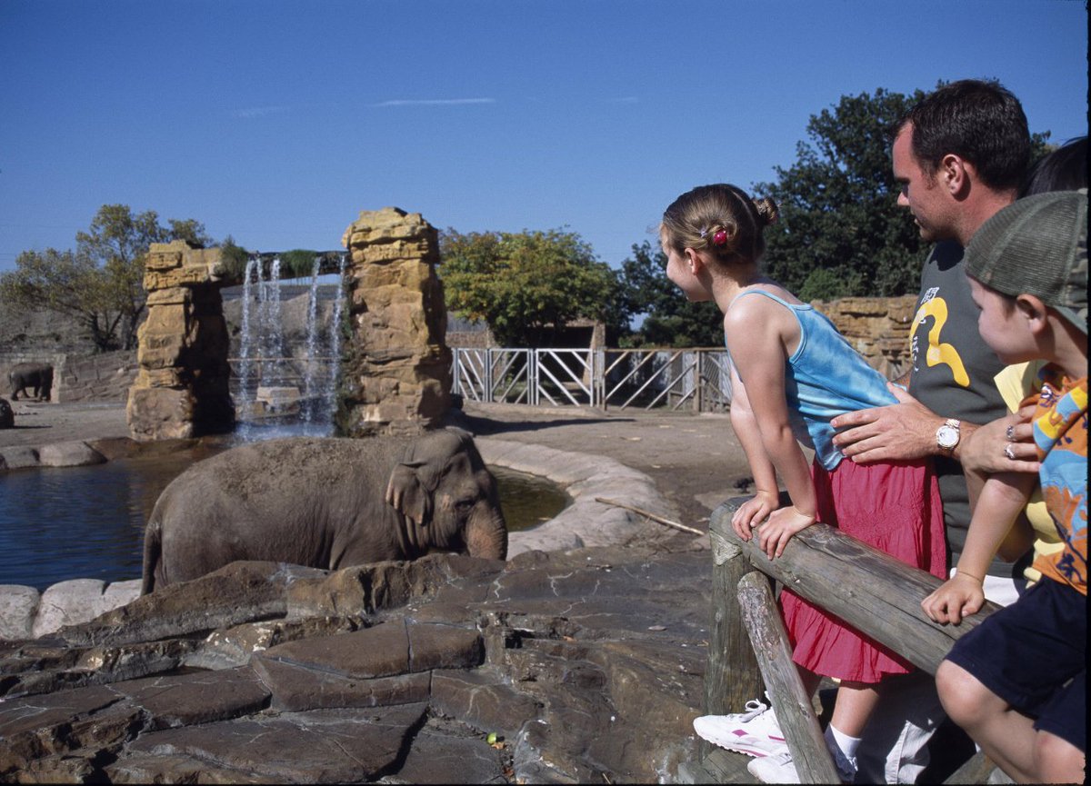 VisitCheshire's tweet image. Craving that fun-filled, adventure-fuelled family getaway? Enjoy 3 nights b&amp;amp;b @cardenpark from just £109 per room per night! You can also get your tickets for @chesterzoo or @theicecreamfarm included in your stay (prices from £134) 🦁🍦 More offers here &amp;gt;ow.ly/Uv0B30is4nX