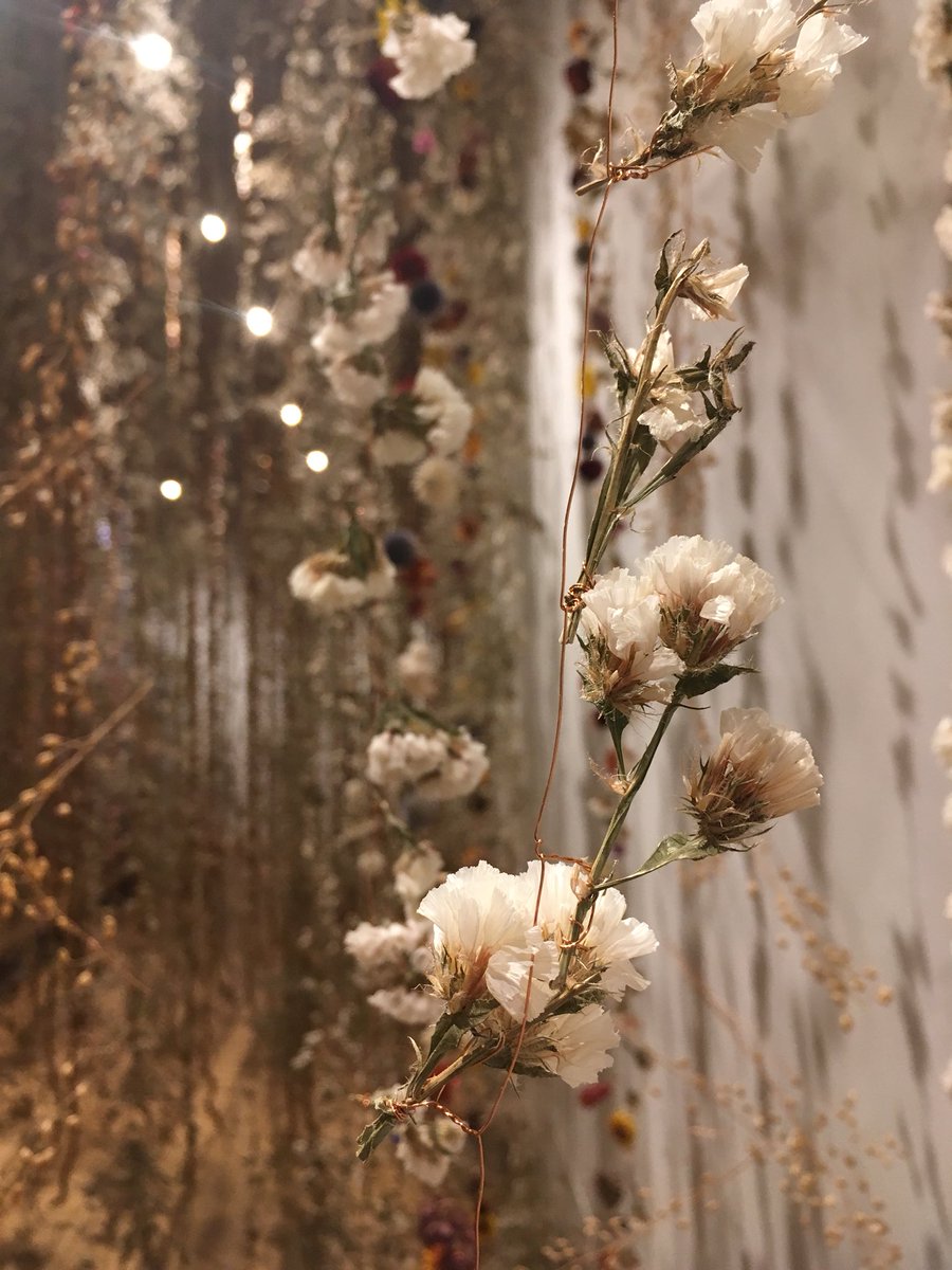 sophieerin_'s tweet photo. Such breathtaking work from one of my favourite artists @RebeccaLLaw at @kewgardens - approx. 375,000 flowers suspended in ‘Life in Death’ https://t.co/00hqLlPhC0