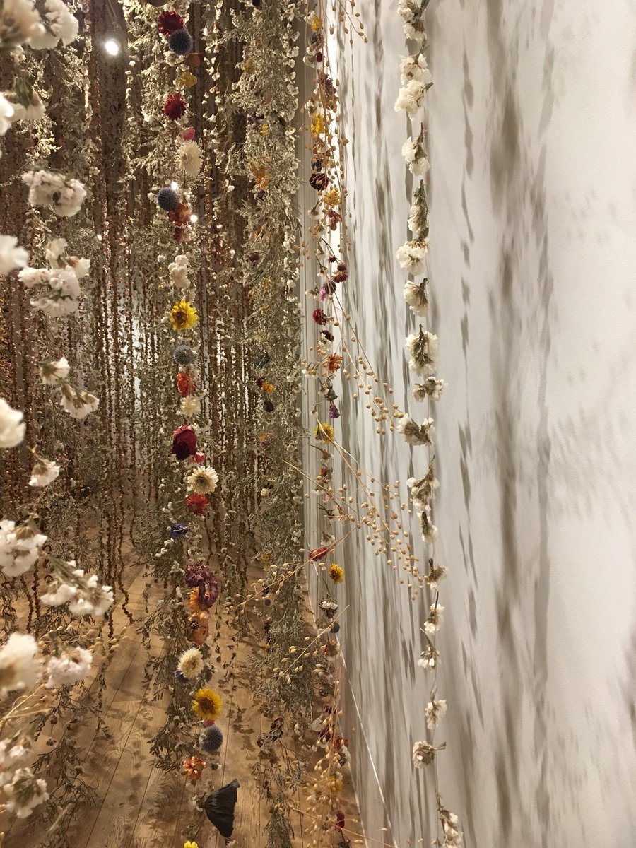 sophieerin_'s tweet photo. Such breathtaking work from one of my favourite artists @RebeccaLLaw at @kewgardens - approx. 375,000 flowers suspended in ‘Life in Death’ https://t.co/00hqLlPhC0