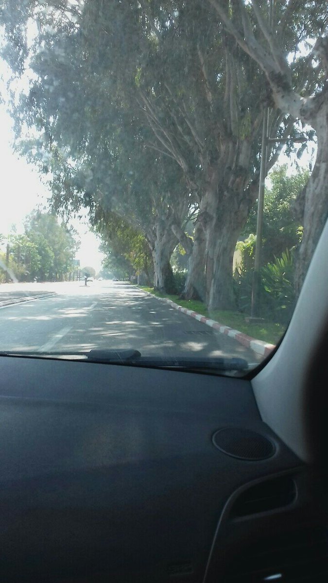 Sihamhd's tweet image. #SeemoreofMorocco