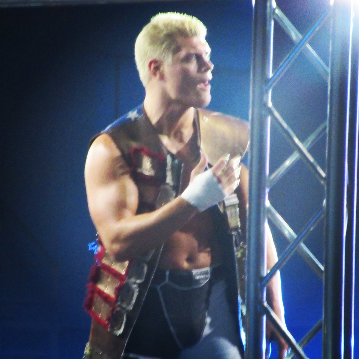 Awesome seeing <a href="/CodyRhodes/">Cody Rhodes</a> in action at #NJPWAus in Sydney last night! #BulletClub #teamcody