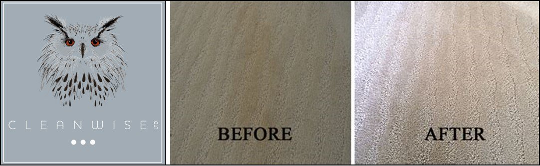 CleanwiseLtd tweet picture