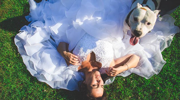 MatrimonioTemi's tweet photo. Un matrimonio a misura di Fido https://t.co/v1SMagBbUg https://t.co/36hdSEWwBV