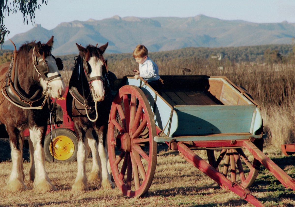 GuestML's tweet image. AUCTION: "Kebah" Narrabri. Superb rural lifestyle property. ruralpropertynsw.com.au/18675314/narra…