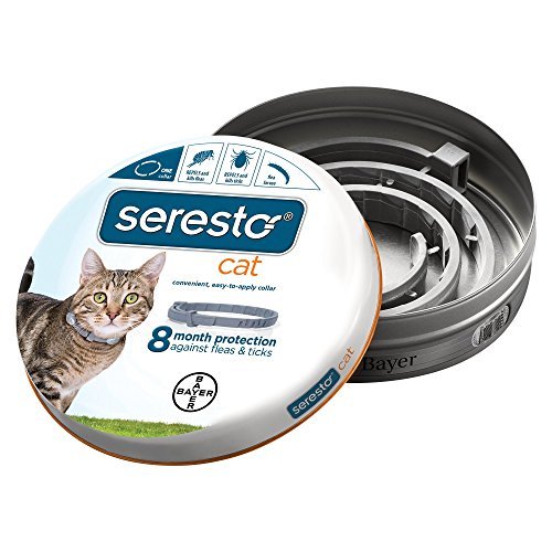 CoolAmazonBuys's tweet photo. Bayer Seresto Flea and Tick Collar https://t.co/uFhWYWhzbe #wellnessworld #coolamazonbuys https://t.co/gvcqrxwqD9