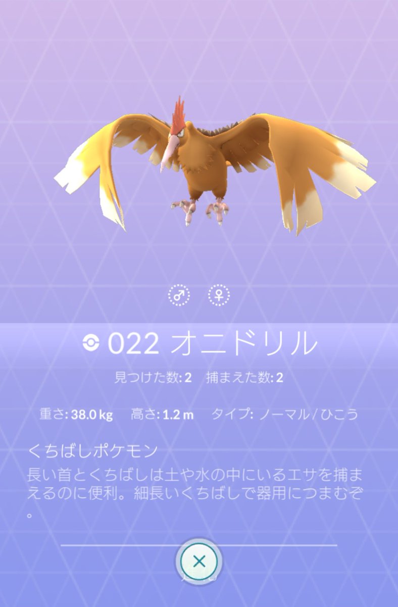 تويتر ポケモンgo攻略 Gamewith على تويتر 少し前から図鑑の性別表示がおかしいポケモンがいますね W 片方の性別しかいないポケモンなのに なぜか図鑑をみるとどちらもいるような設定に 以前は表示されていなかったので 不具合ですかね W