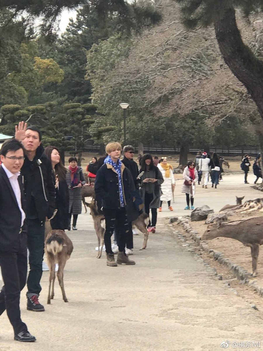 Fadhunlujun_'s tweet photo. 🦌🦌🦌🦌🦌🦌 https://t.co/Ek7IGtJKD1
