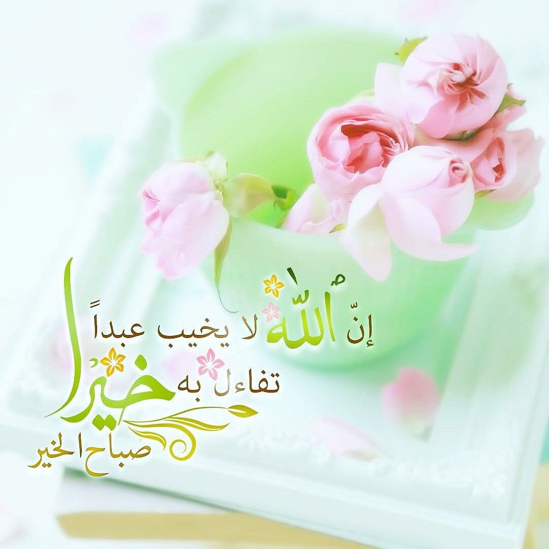 Alsanabelevator's tweet photo. #صباح_الخير
#مصاعد #السنابل_الذهبية https://t.co/zd61QrzJHa