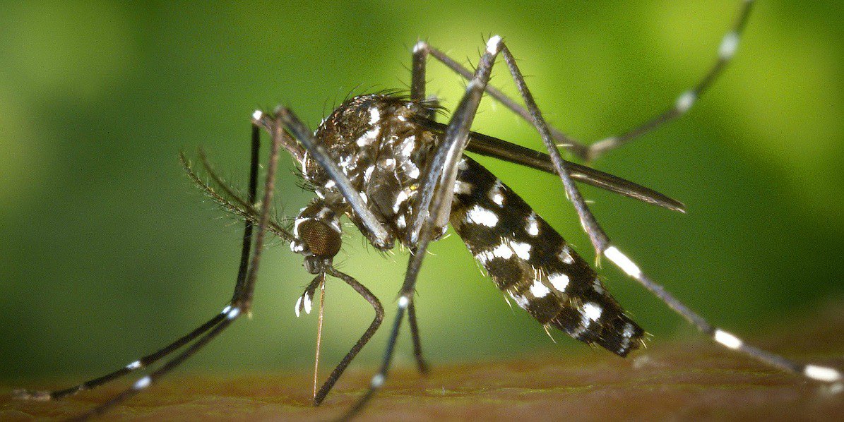 TranslateClinic's tweet photo. German-English glossaries on infectious diseases https://t.co/mhb8cRlUPs by @TranslateClinic #xl8 https://t.co/YOZKzhHeNU