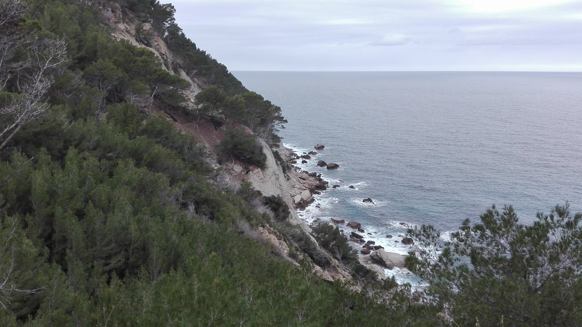 journeyMallorca's tweet photo. #portdescanonge #Mallorca #Majorca #paradise #sunset #beautiful #Palma #fields #clouds #afterwork #relax #nature #naturephotography #enjoy #life #live #HappyFriday #forest #water #river #trees #Travel #treasure #weekend #weekends #Happiness  #mallorcalifestyle #tourism https://t.co/L6GHhF2tzD
