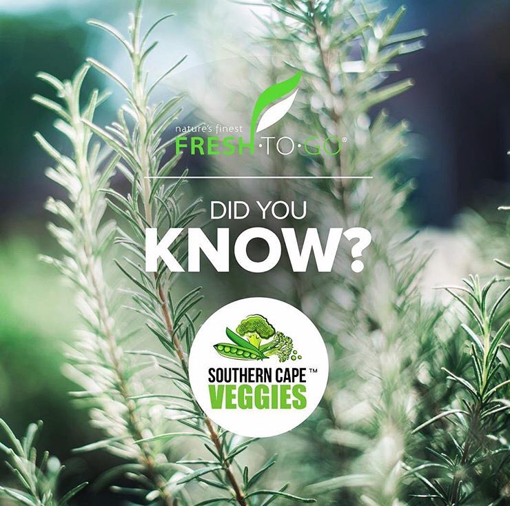 FreshToGoSA's tweet photo. #LookingForRosemary?
Your search is over!
Contact #SouthernCapeVeggies.
All our products have full traceability – from #SeedToFork.
We supply #QualityProcessed #Vegetable and #Salad #Premium #FreshProducts to clients both locally and abroad.
#Rosemary
#FreshToGoSA
#FreshToGo
#FTG https://t.co/KmVi8xDFYz