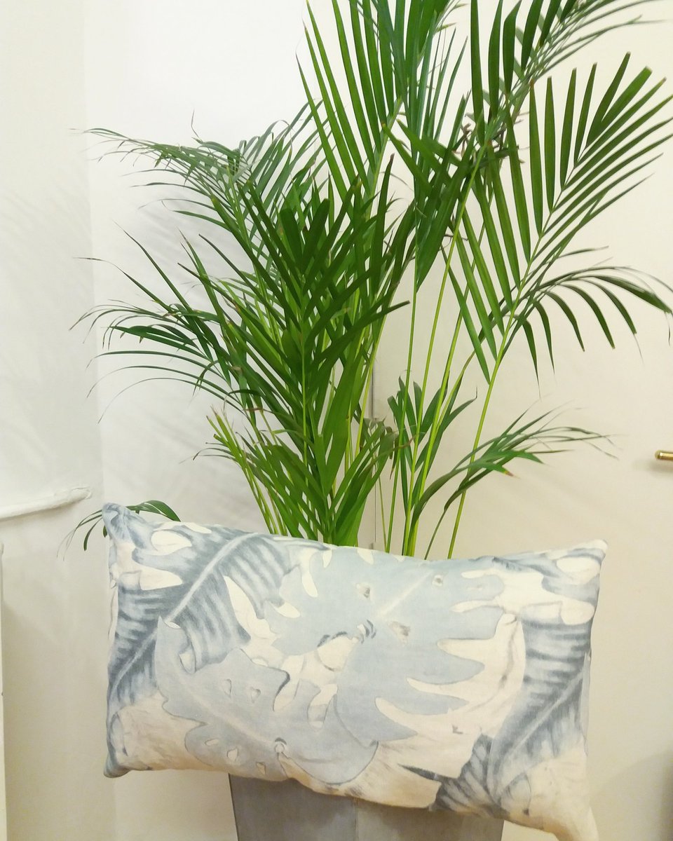 YbarraySerret's tweet photo. Lilly Collection 🌴

#LillyCollection #fabrics #interiorismo #Interiordesign #decoracion #Lifestyle #YbarraySerret https://t.co/EmsSBbD8Sf
