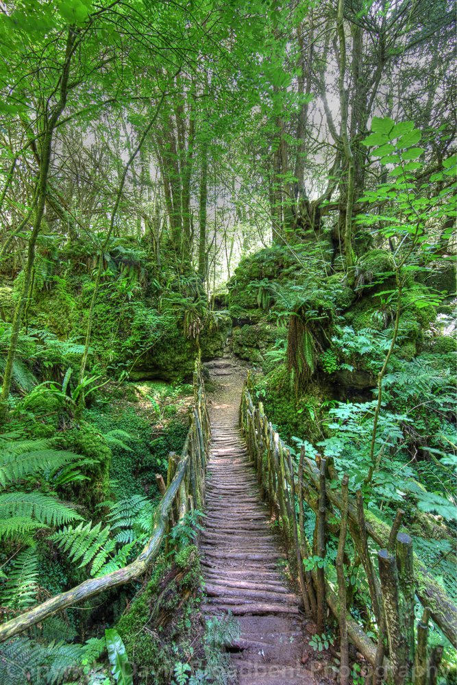 FANDVOS's tweet image. 13th May #photo #training #courses @puzzlewoodfod in the #deanwye great place to #learn new techniques. facebook.com/pg/ForestofDea…