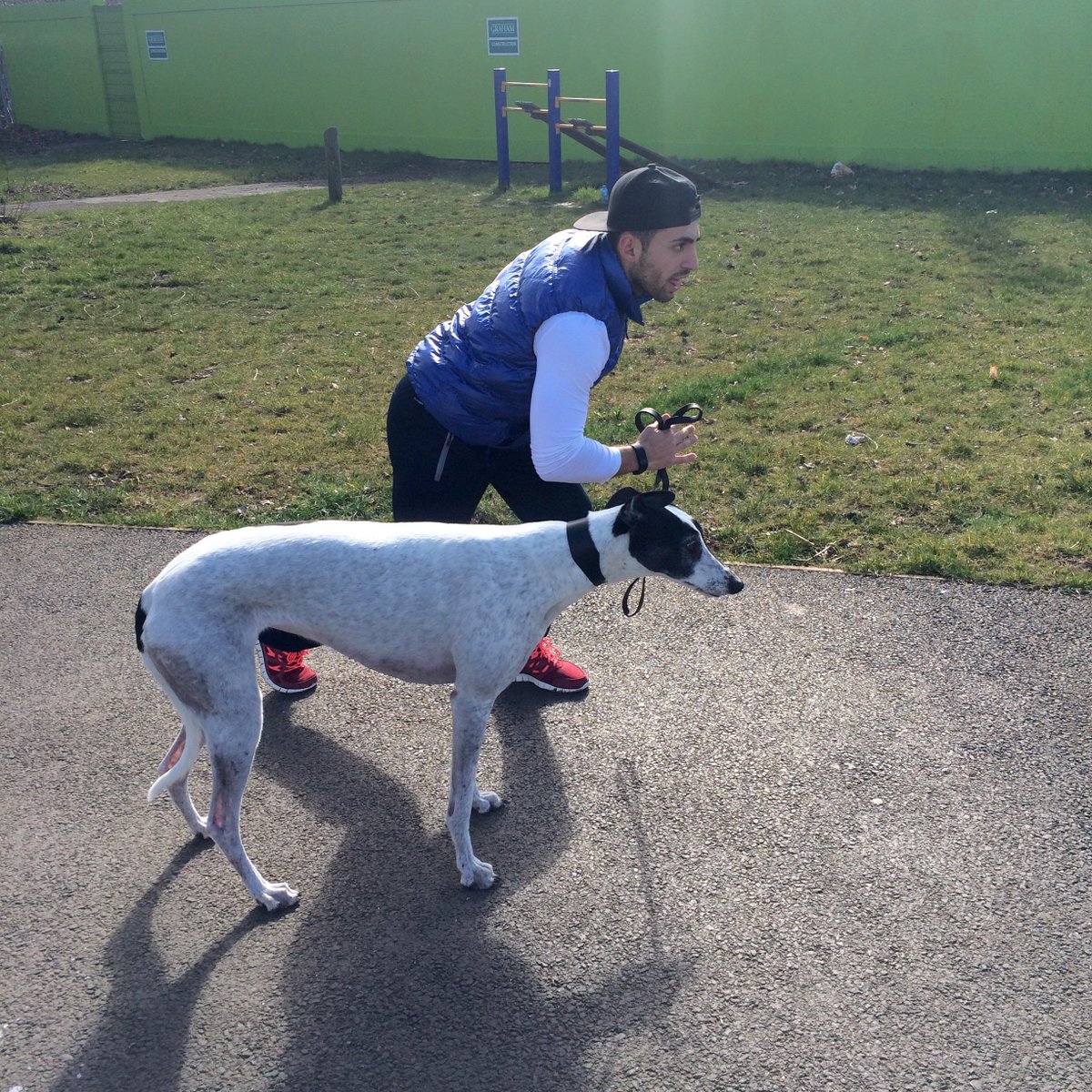 MikeBarnato's tweet photo. #MindayMindset
I like this image about #optimism & #fun. Greyhounds can accelerate faster than most cars. They can instantly #switchon & focus. @tonyfitcoach
#TheMindfulMartialArtist https://t.co/rD4w4PRQ6k
