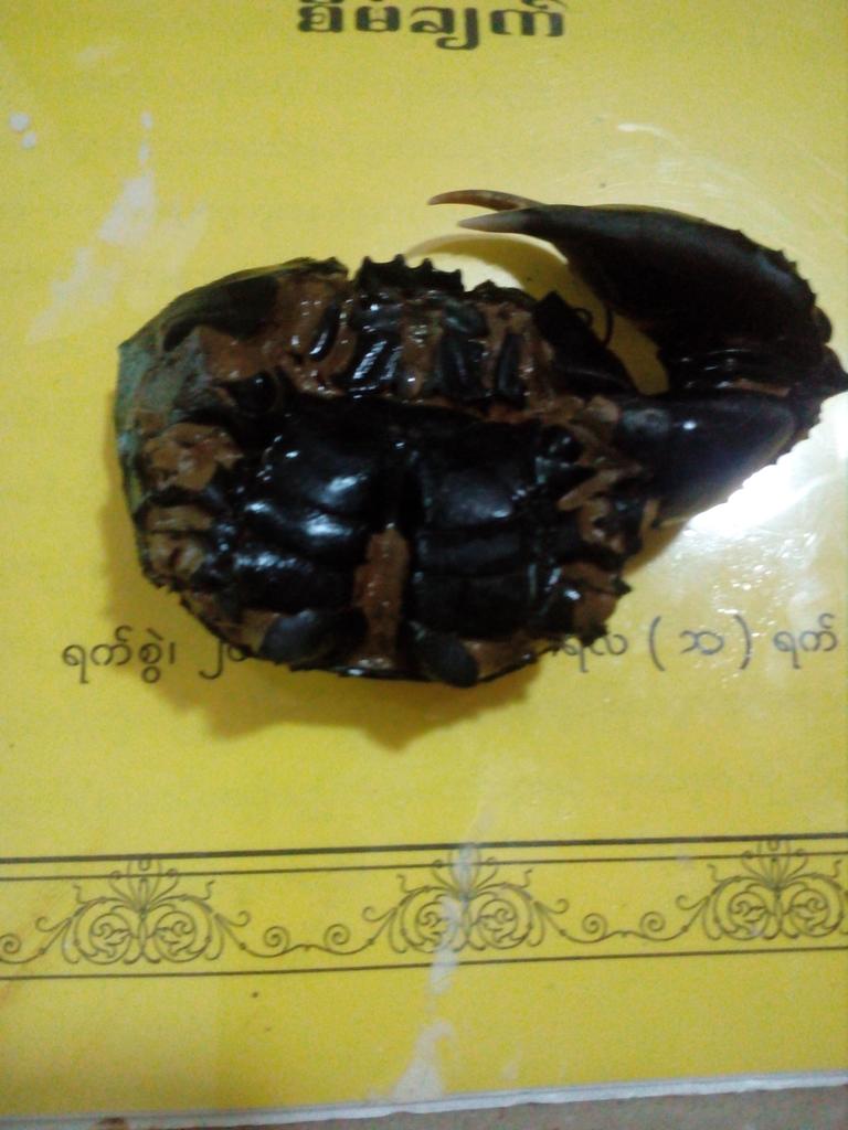 Kyaw Aung Mg (@q91042439) on Twitter photo 