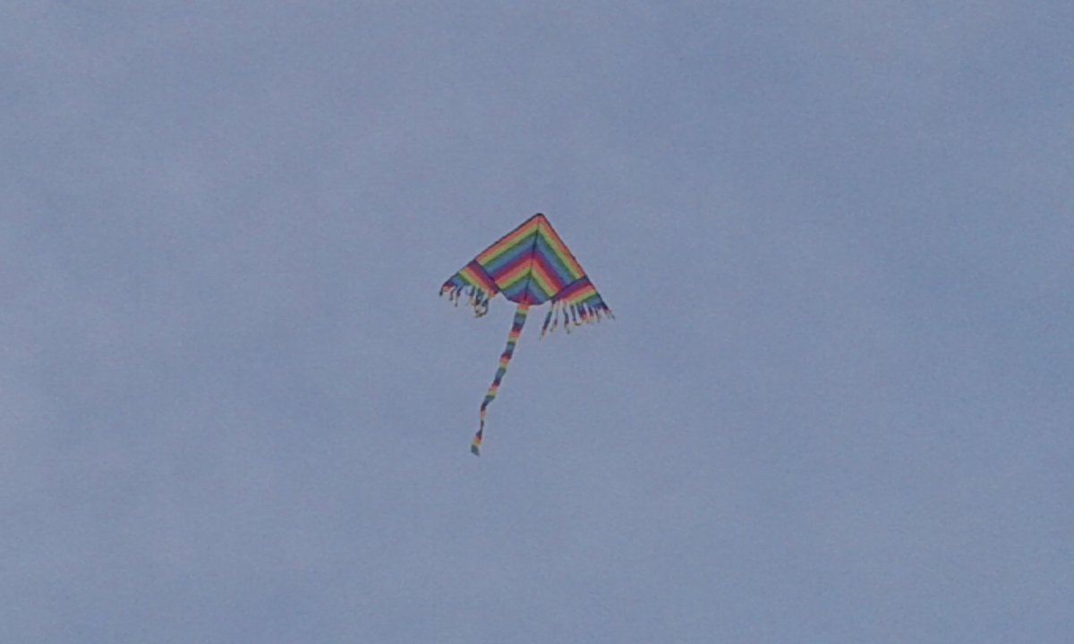 Clean Monday in #Greece with kites, shellfish and unleavened bread Lagana.