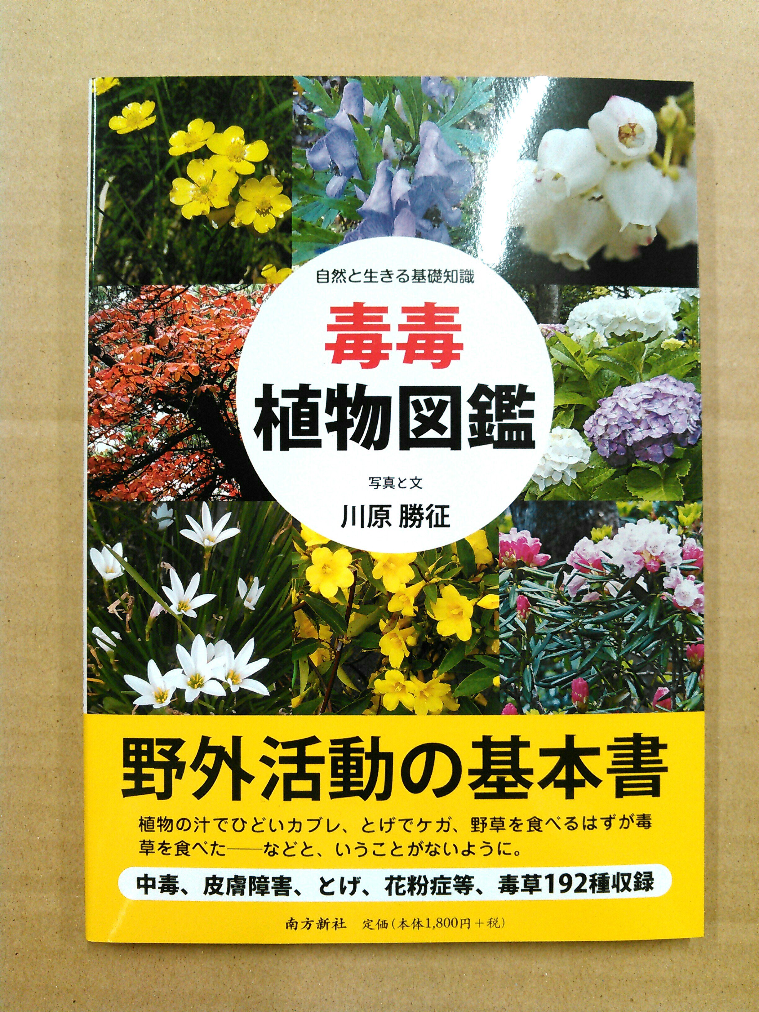 تويتر 戸田書店 豊見城店 على تويتر 川原勝征 毒毒植物図鑑 南方新社 好評発売中です T Co Vi0wjodiaa 植物の汁でひどいかぶれ とげでケガ 野草を食べるはずが毒草を食べた などということがないように 野外活動を安全に楽しむために 最低これだけ