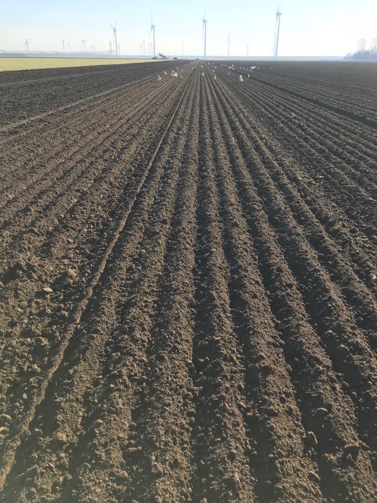 Afgelopen week mooi plantweer! Er werden op diverse plekken uitjes geplant. #seizoen2018 #plantuitjes #TOPuitgangsmateriaal