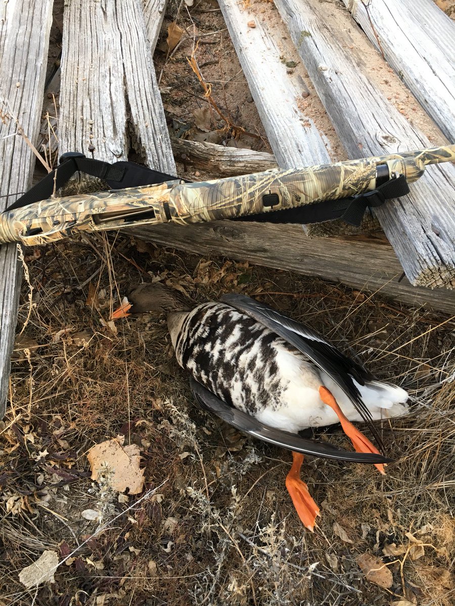 Double Down Outdoors (DbleDwnOutdoors) Twitter