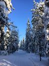 Blauer Himmel!! Das hatten wir schon lange nicht mehr. Heute ist es verhältnismäßig mild, ab morgen geht es wieder runter auf unter -20 Grad.