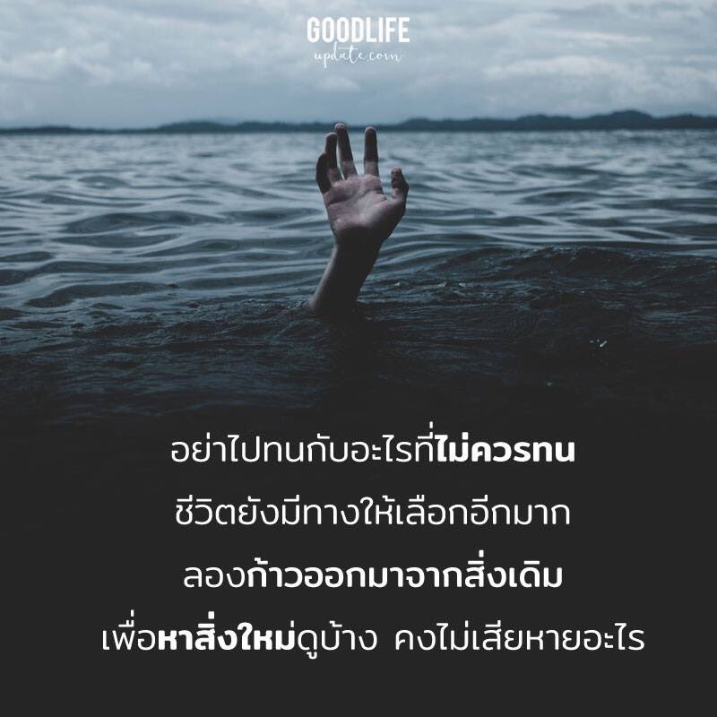 TannyWN's tweet image. 