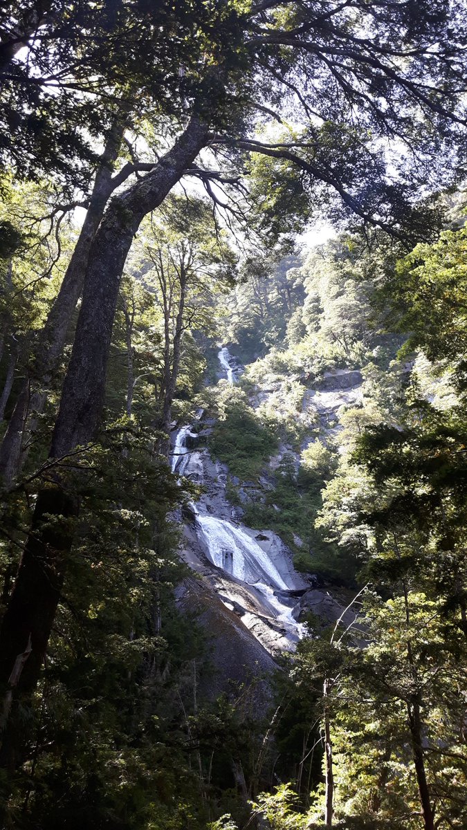 MCheguan's tweet photo. #photography #fotografia #nikon #fotografia #chileestuyo #datosdeviaje #parquenacionalhuerque #mochileando https://t.co/SWzRHQnNte
