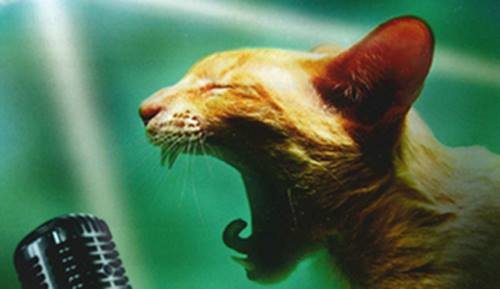 Hooray! Wieder mal der 19te und wieder mal #OpenStage im Fabriktheater! Ab 20:30 Uhr, und wie immer Eintritt frei! <a href="/FTMoabit/">Fabriktheater Moabit</a>