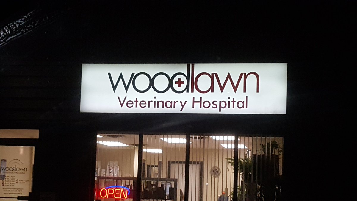 gblsigns's tweet image. Woodland veterinary #ledretrofits #gblsigns #signservice #signs #signinstallation #gblsigns #signserviceexperts #ledretrofit