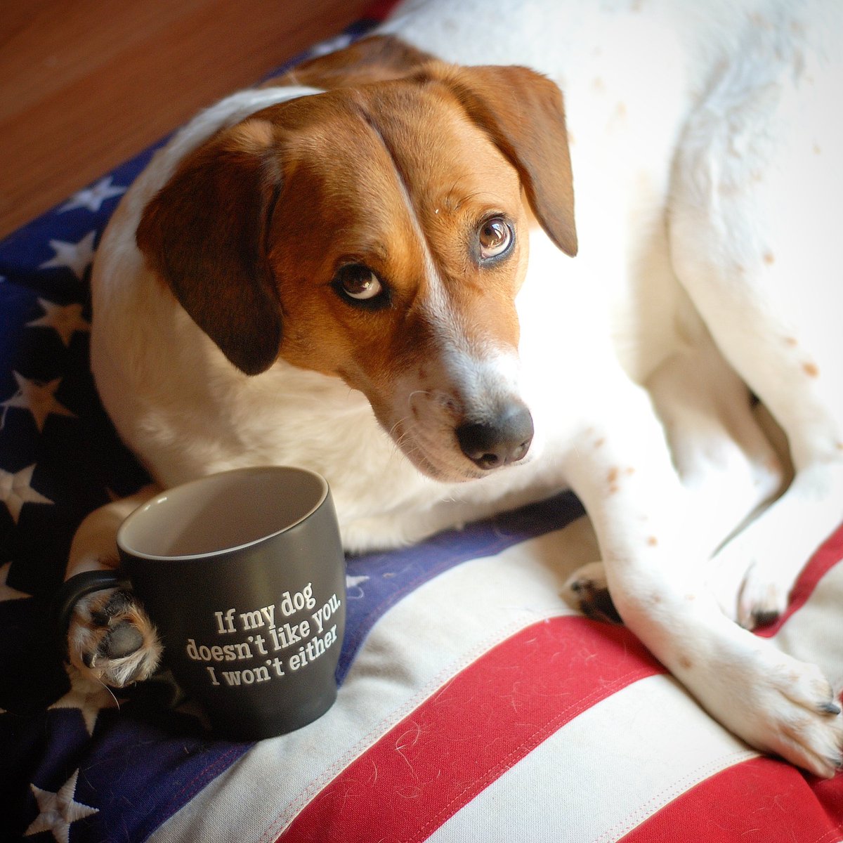 Lucy & Emily tweet media