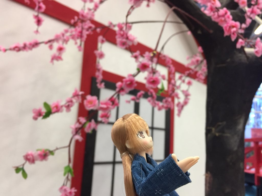 silvia_ryu's tweet photo. More shots from #festivaldelloriente 💙 #LilFairy #azonejp #azonet https://t.co/bz7PM9QamY
