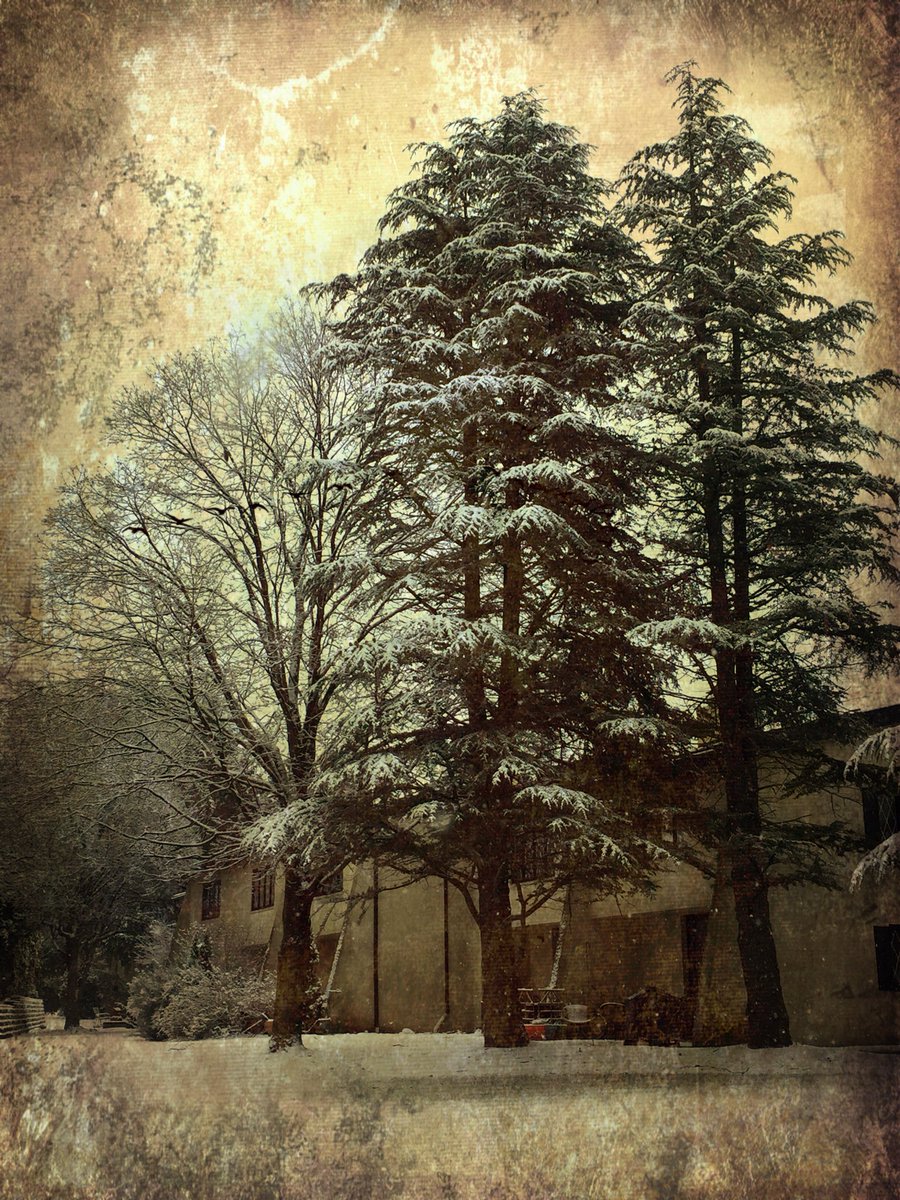 clifshey's tweet image. #distressedfx #SnowStorm