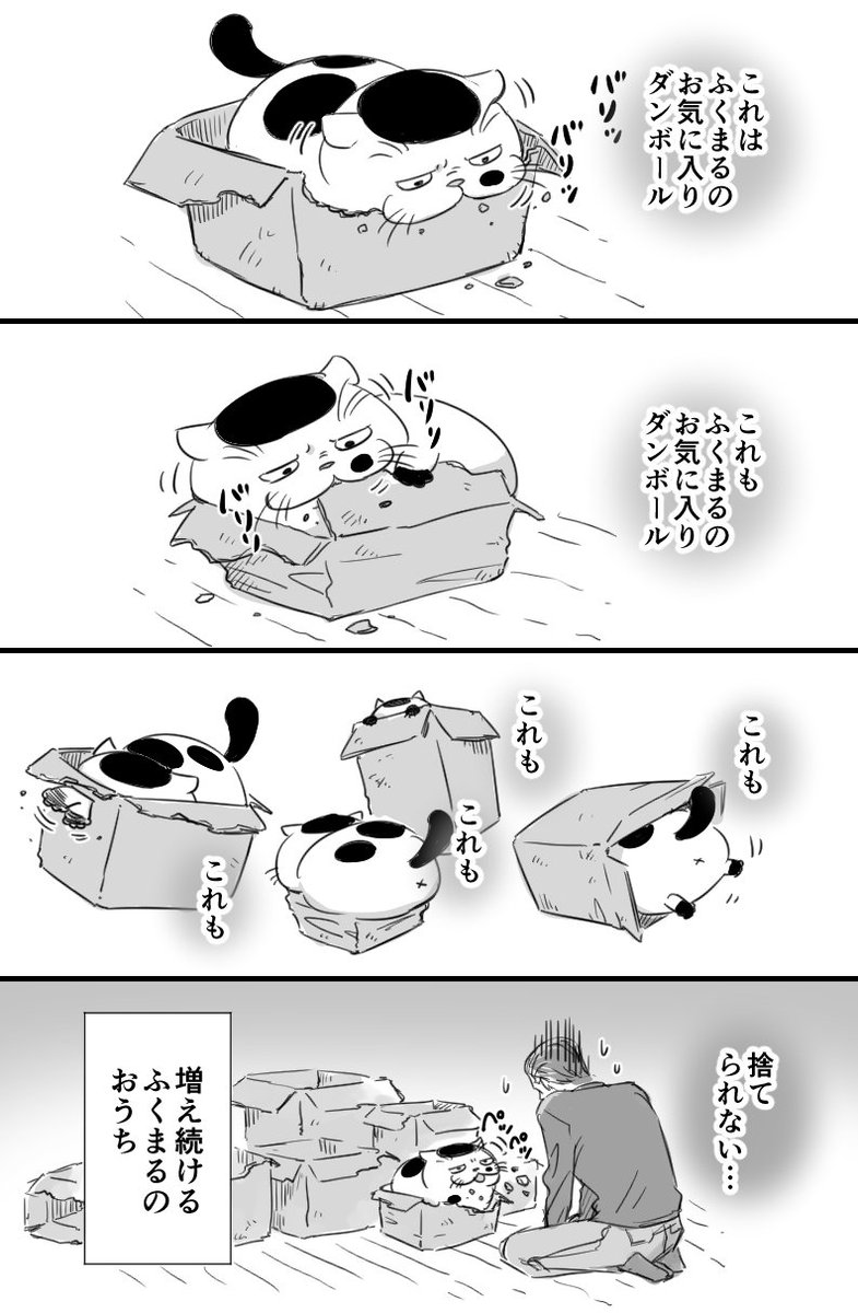 おじさまと猫 の番外編で ダンボールとたわむれるふくまるですが わうまっぷ